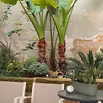 Vakantiehuis Xenia Boutique