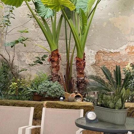 Hébergement de vacances Xenia Boutique